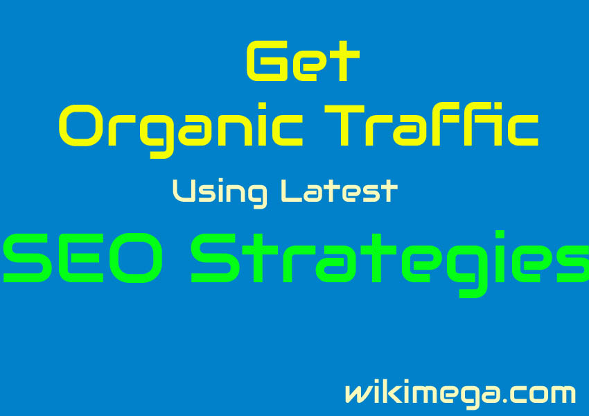 get organic traffic by seo latest tips, 

User experience is important in seo latest update,
Expert in Organic Traffic with SEO Techniques for 2024,
Search engine optimization (SEO) most important strategies,
voice search technology,
Structured data markup,
Quality content,
Stay Up to Date with Algorithm Updates,
