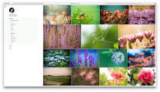 How to Create Beautiful Photography Website in a Minute