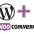 WordPress.org VS WordPress.com